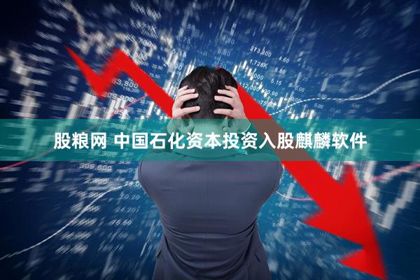 股粮网 中国石化资本投资入股麒麟软件