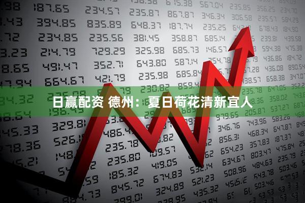 日赢配资 德州：夏日荷花清新宜人
