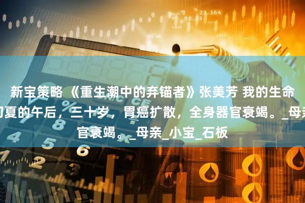 新宝策略 《重生潮中的弃锚者》张美芳 我的生命终结在一个初夏的午后，三十岁，胃癌扩散，全身器官衰竭。_母亲_小宝_石板