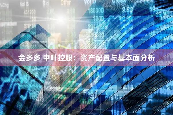 金多多 中叶控股：资产配置与基本面分析