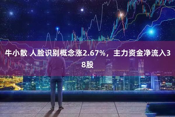 牛小散 人脸识别概念涨2.67%，主力资金净流入38股